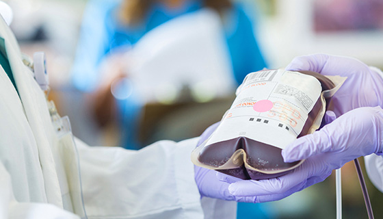 Multimodal logistics solution for blood services organization