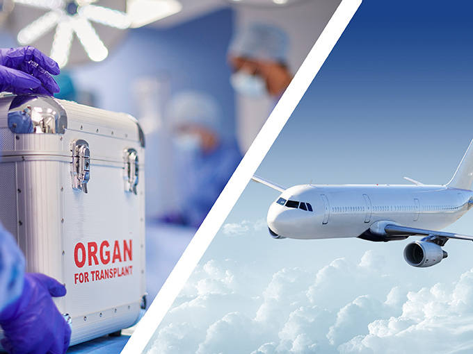 Seamless execution for critical biotech delivery